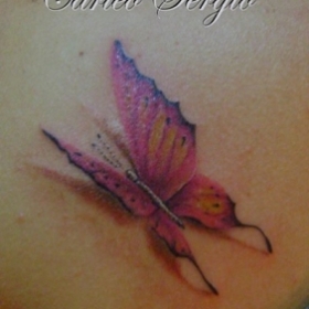 tattoocrazystudio  ---farfalla
