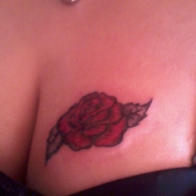 rosa rossa sul seno