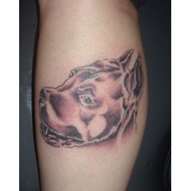Crabbydog Tattoo   ,,,,pitbull
