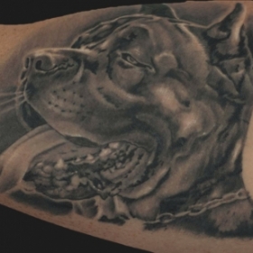 Il Rosso Tattoo  --------------Dog portrait
