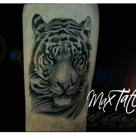 max tattoo studio