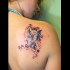 disegno tatuaggio farfalla