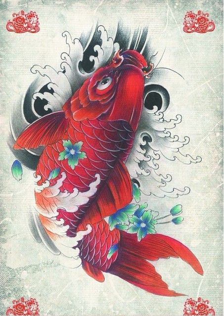 Carpa Koi Tattoo Oriental Quadro com Moldura 33x24cm  Elo7